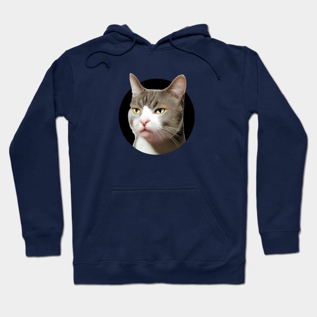 Sarcastic, indifferent cat...so, what? Hoodie by Cavaleyn Designs